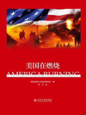 cover image of 美国在燃烧